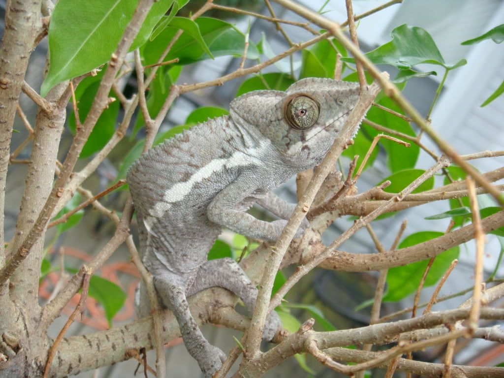 DSC01152.jpg