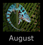 august.jpg