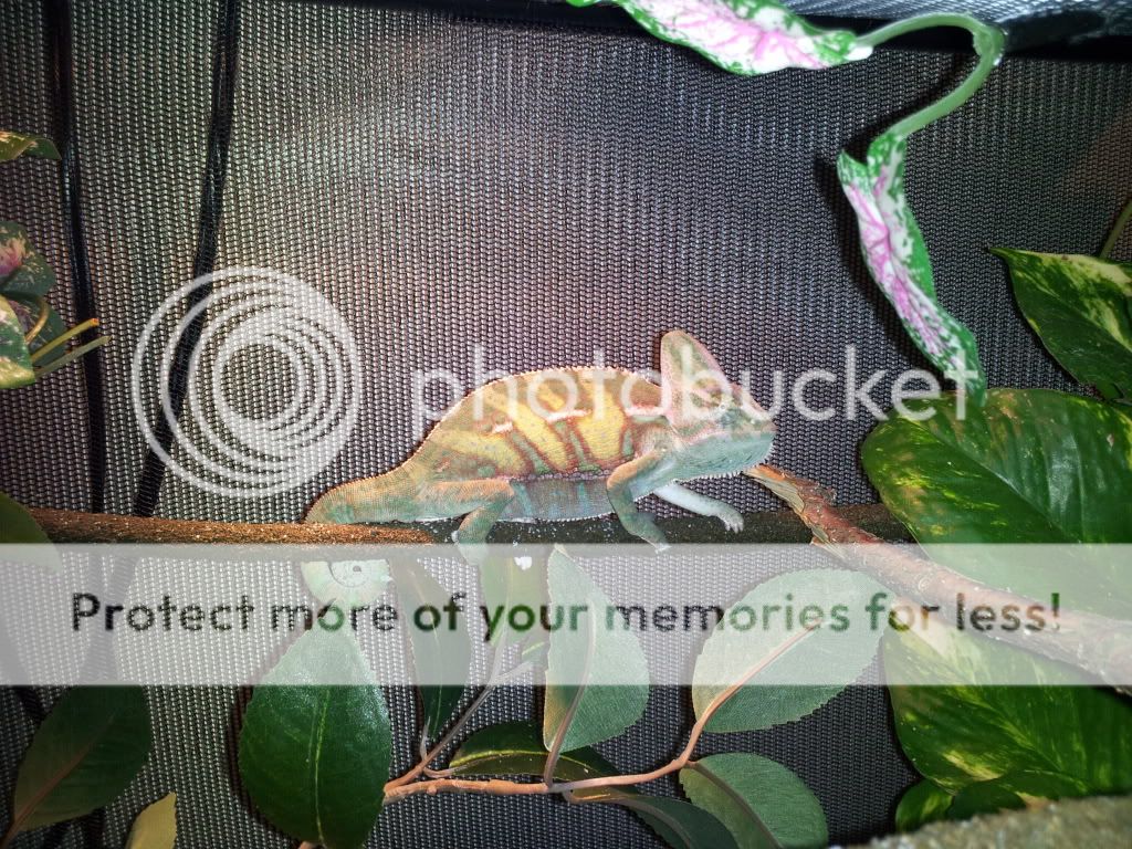 2011-11-29165754.jpg