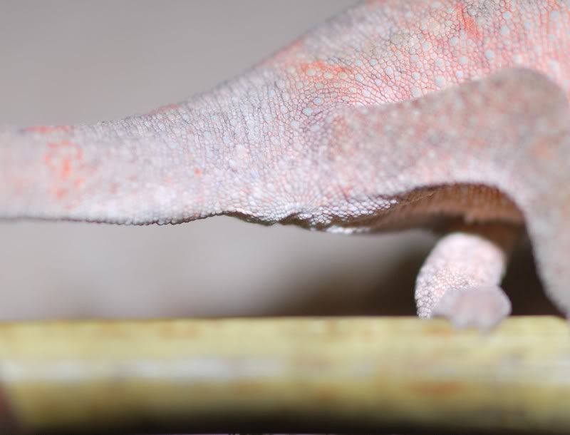 DSC_0135.jpg