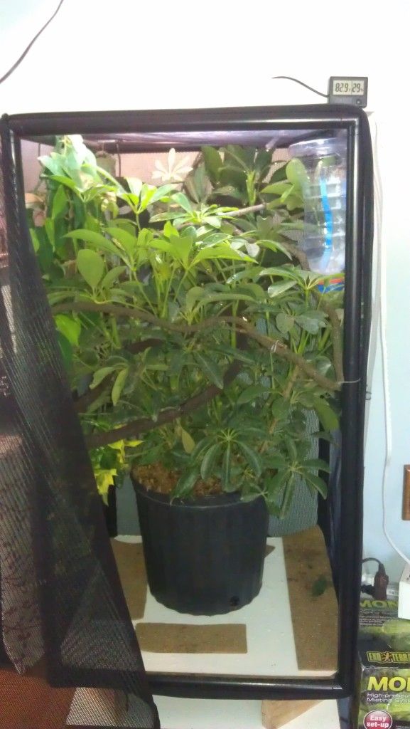 IMAG0274.jpg