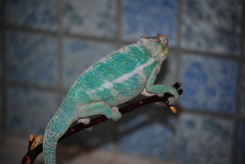 DSC_0479.jpg