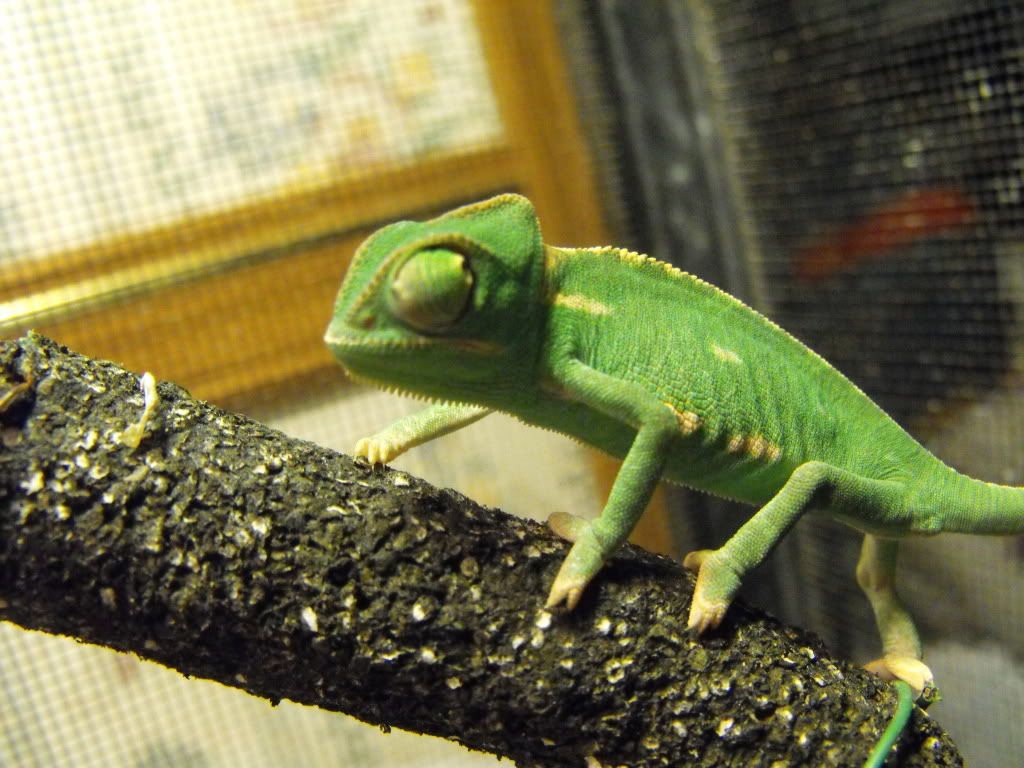 newpics066.jpg