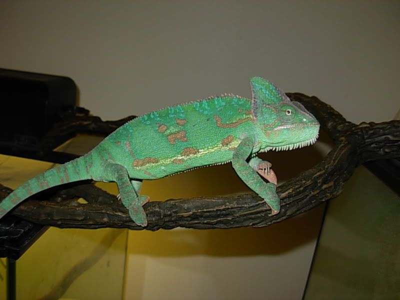 DSCN8205.jpg