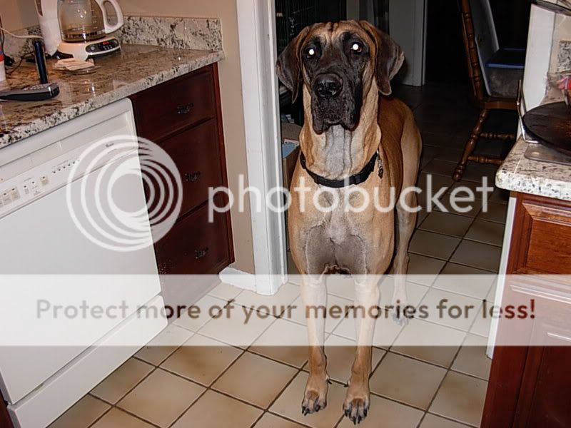 DSCN2222.jpg
