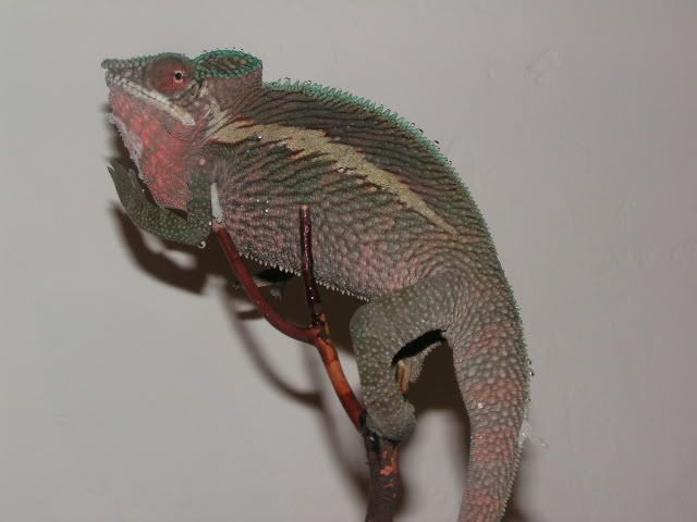 PICT3118.jpg