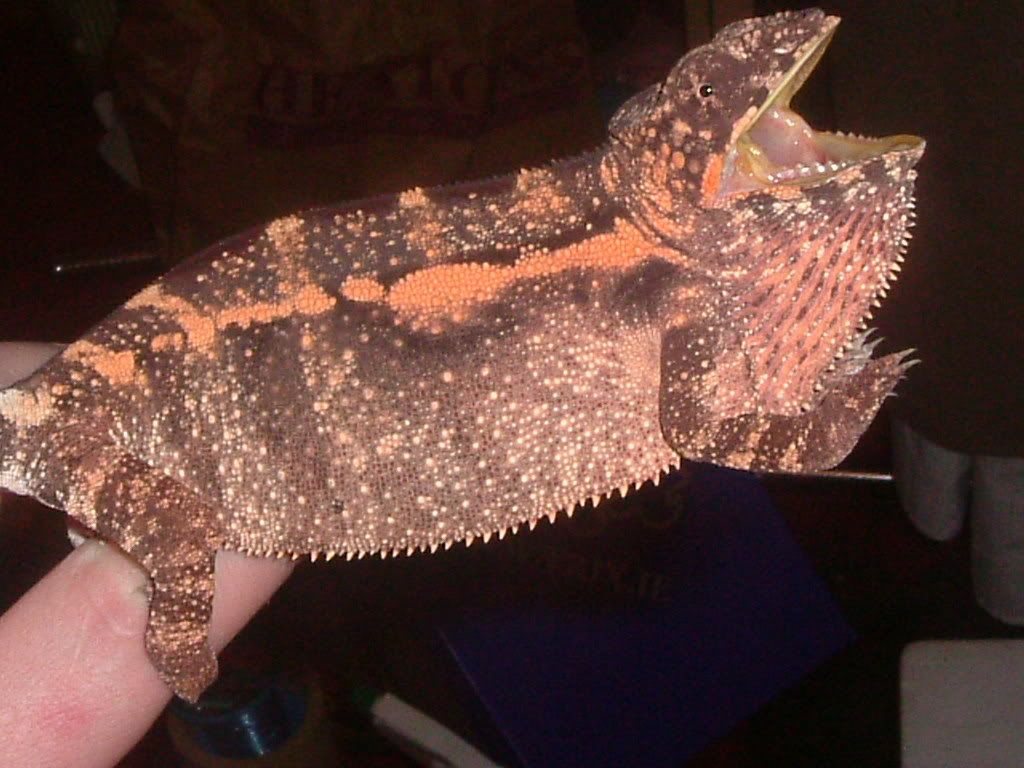 DSCF1014.jpg
