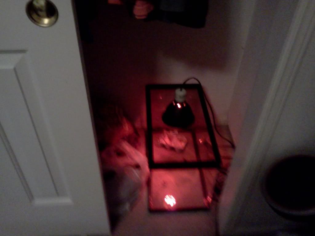 IMG_20120123_183723.jpg