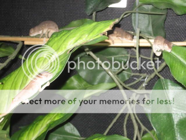 IMG_1782.jpg