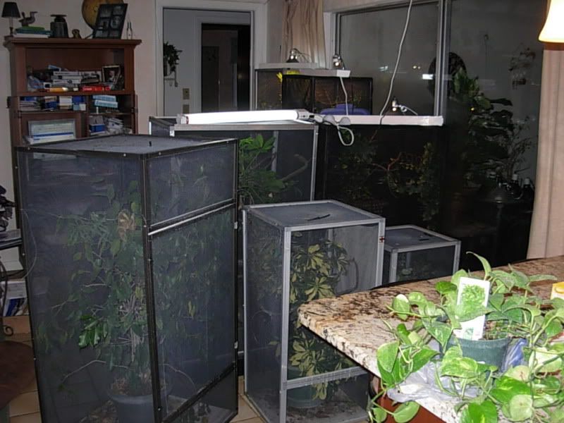 DSCN5976.jpg