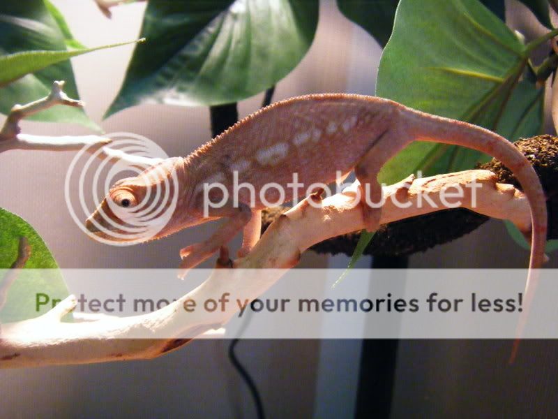 2008_0708july0013.jpg