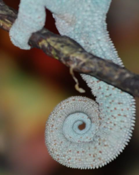 DSC_1717.jpg