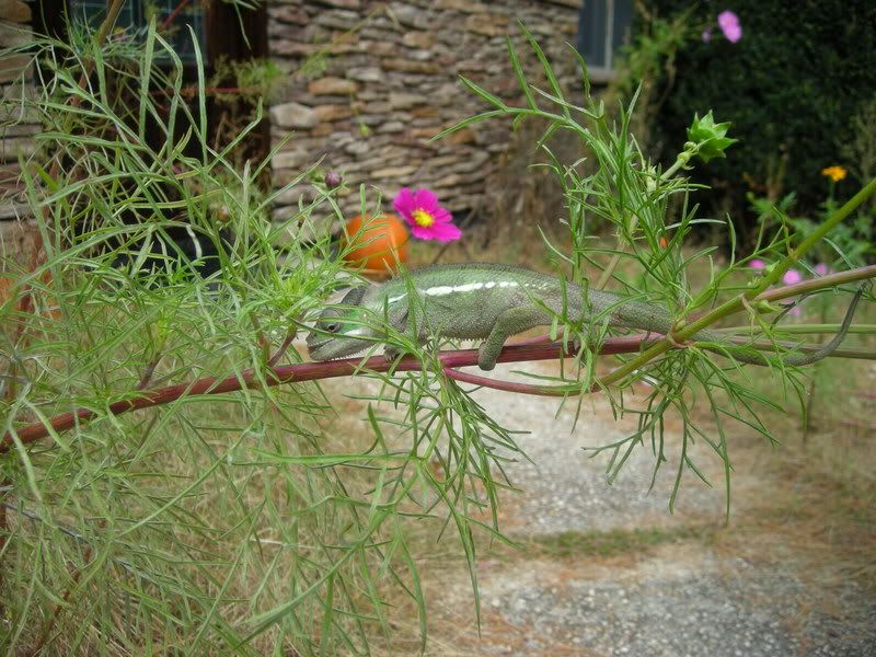 DSCN0550.jpg