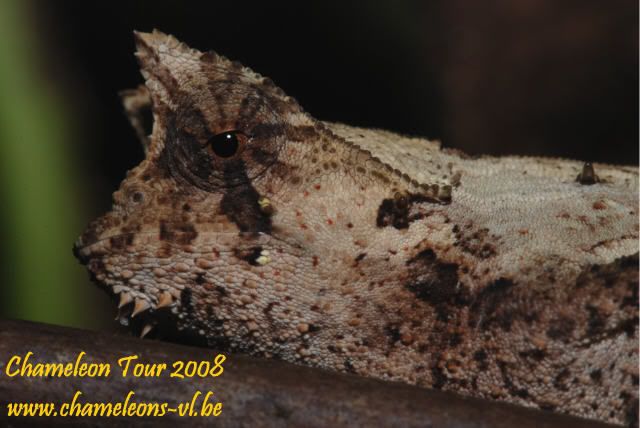 DSC_1120.jpg