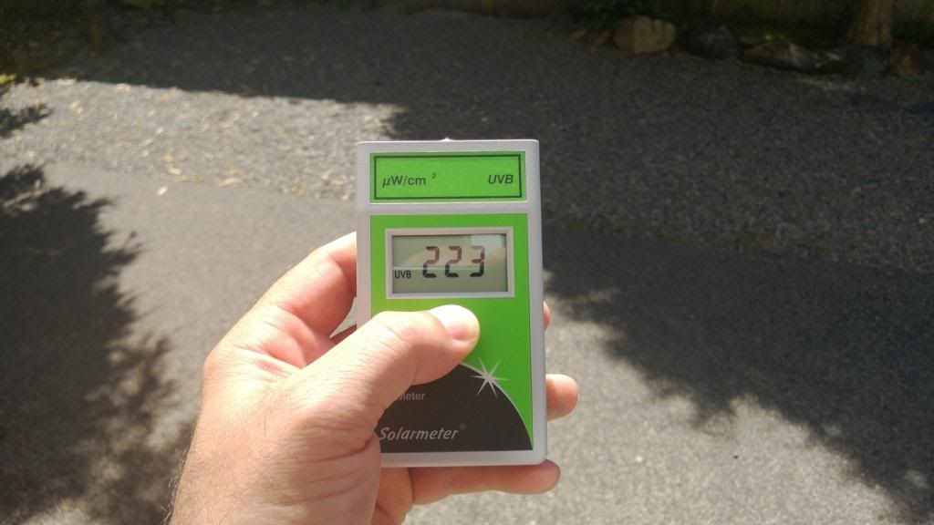 Directsun_zpsdb84d4df.jpg