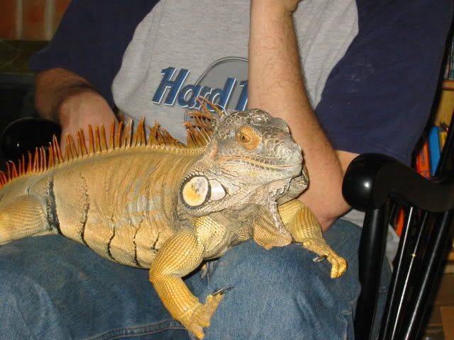 IMG_1903.jpg