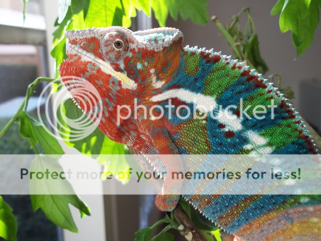 4970f3d2.jpg