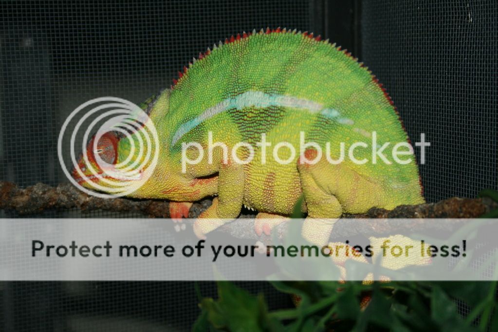 001-19.jpg
