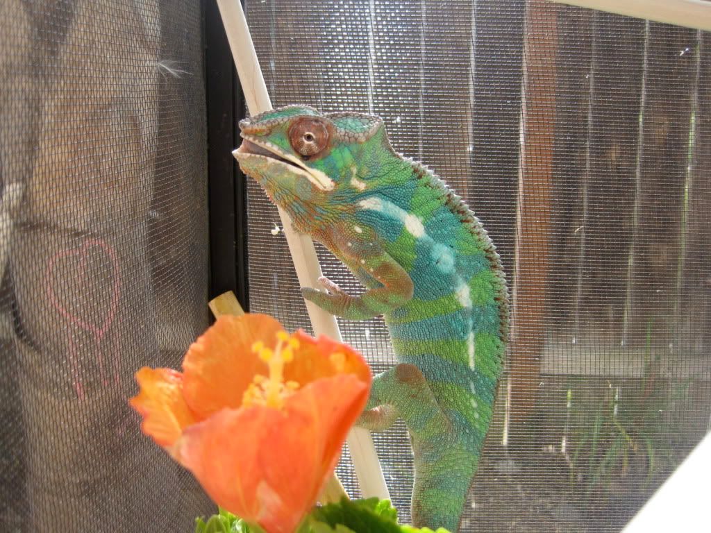 IMG_4277.jpg
