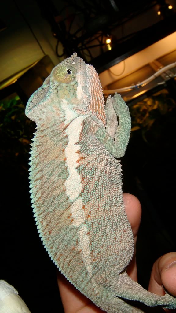DSC01330.jpg