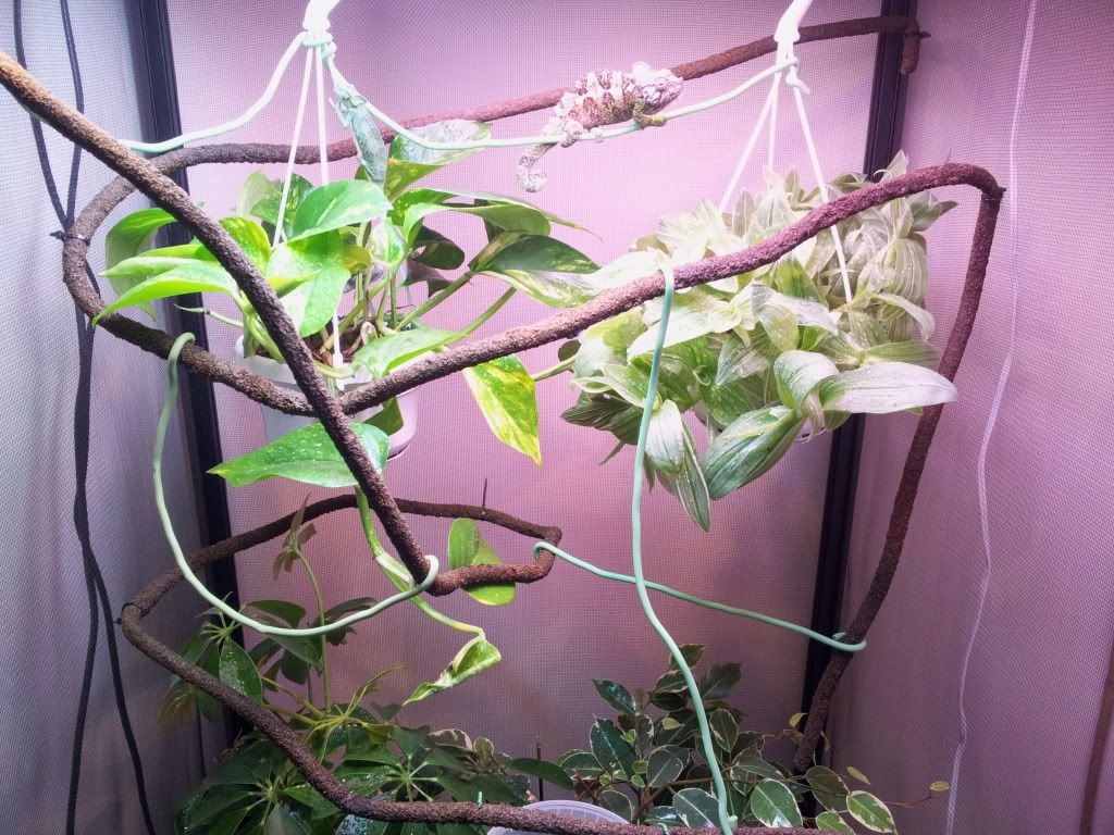 20120308_152439.jpg