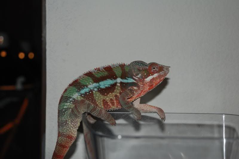 DSC_0137.jpg