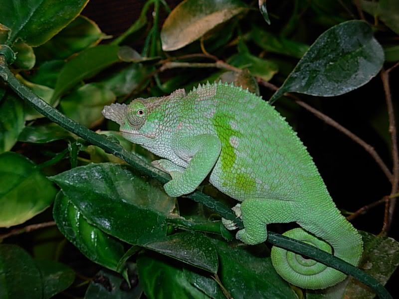 DSCN1235.jpg