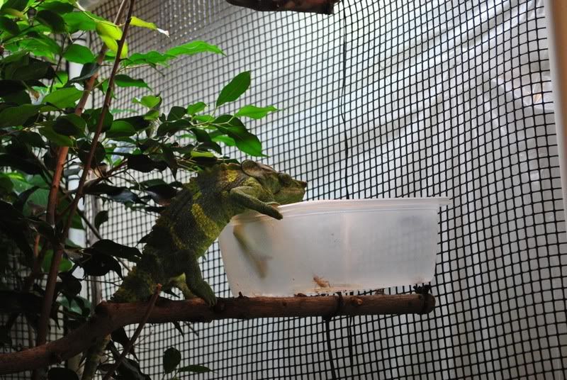 DSC_0135.jpg