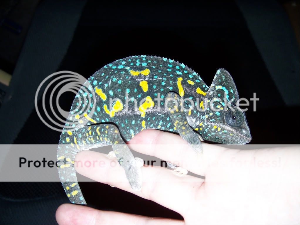100_3758.jpg