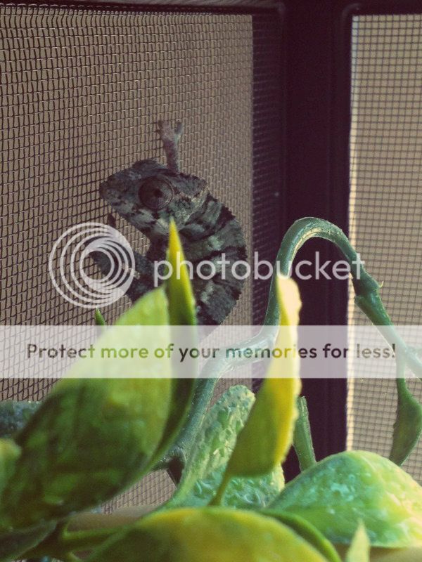 PhotoSep1225416PM.jpg
