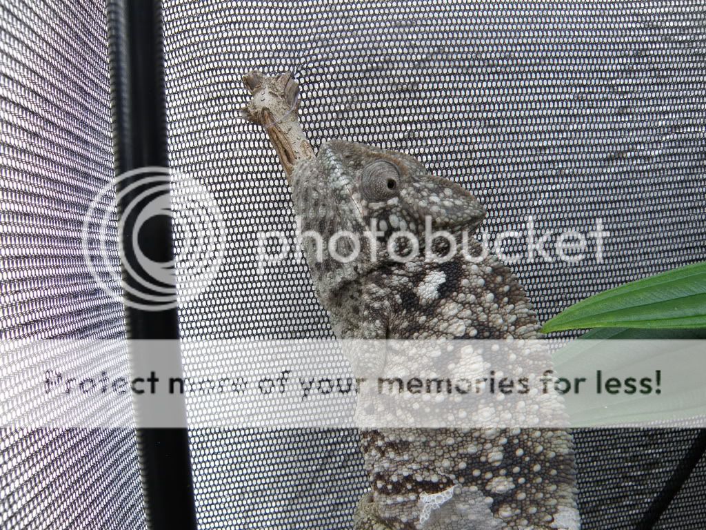 PB210789.jpg