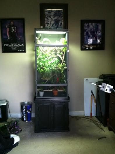 fullcage1.jpg