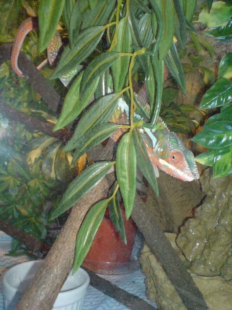 DSC01779.jpg