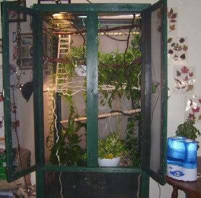 ChamcageComplete.jpg