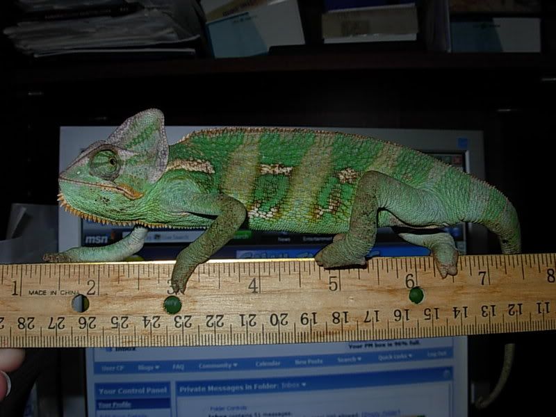DSCN3711.jpg