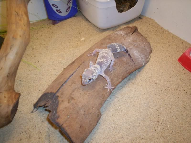 testbatch049.jpg