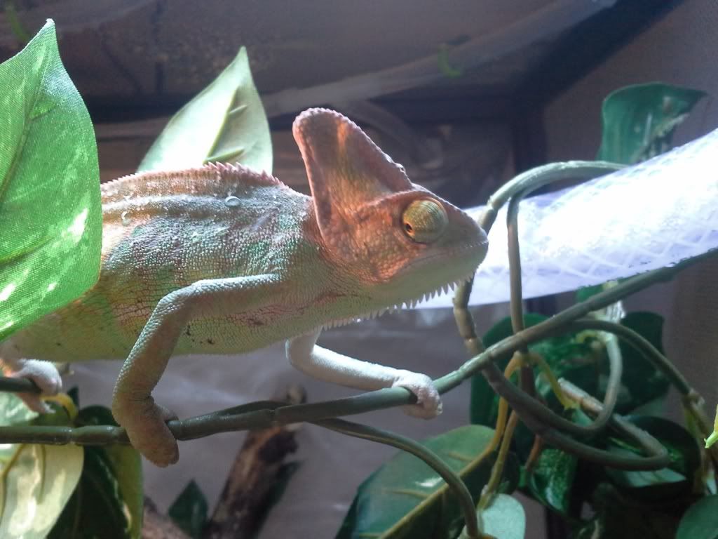20130506_181334.jpg