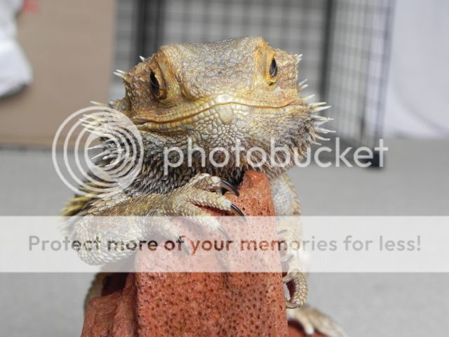 gary2.jpg