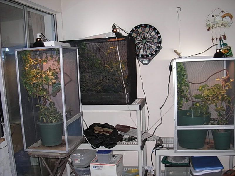 DSCN2907.jpg