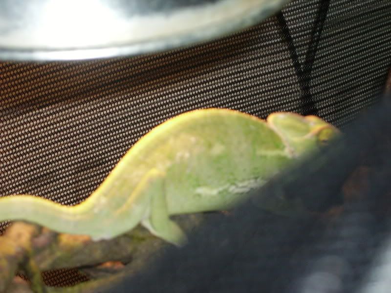 PICT0581.jpg