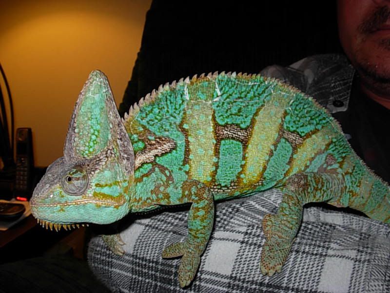 DSCN3210.jpg