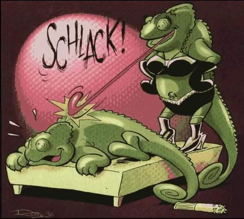 sado-maso-chameleon.jpg