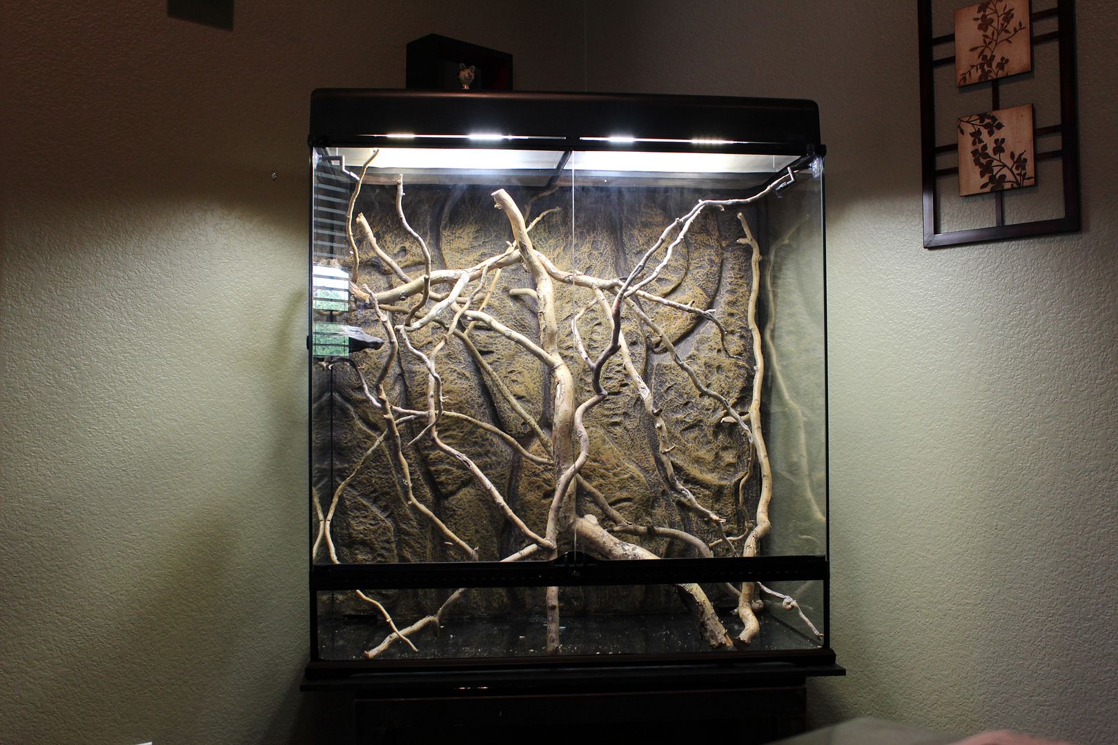 NewCage002-1.jpg