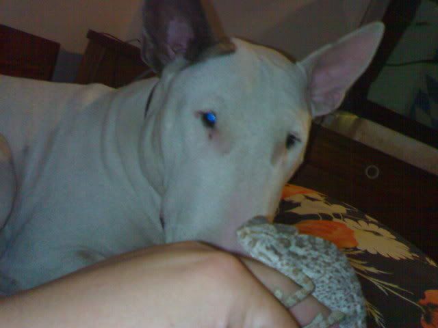 050220061484.jpg
