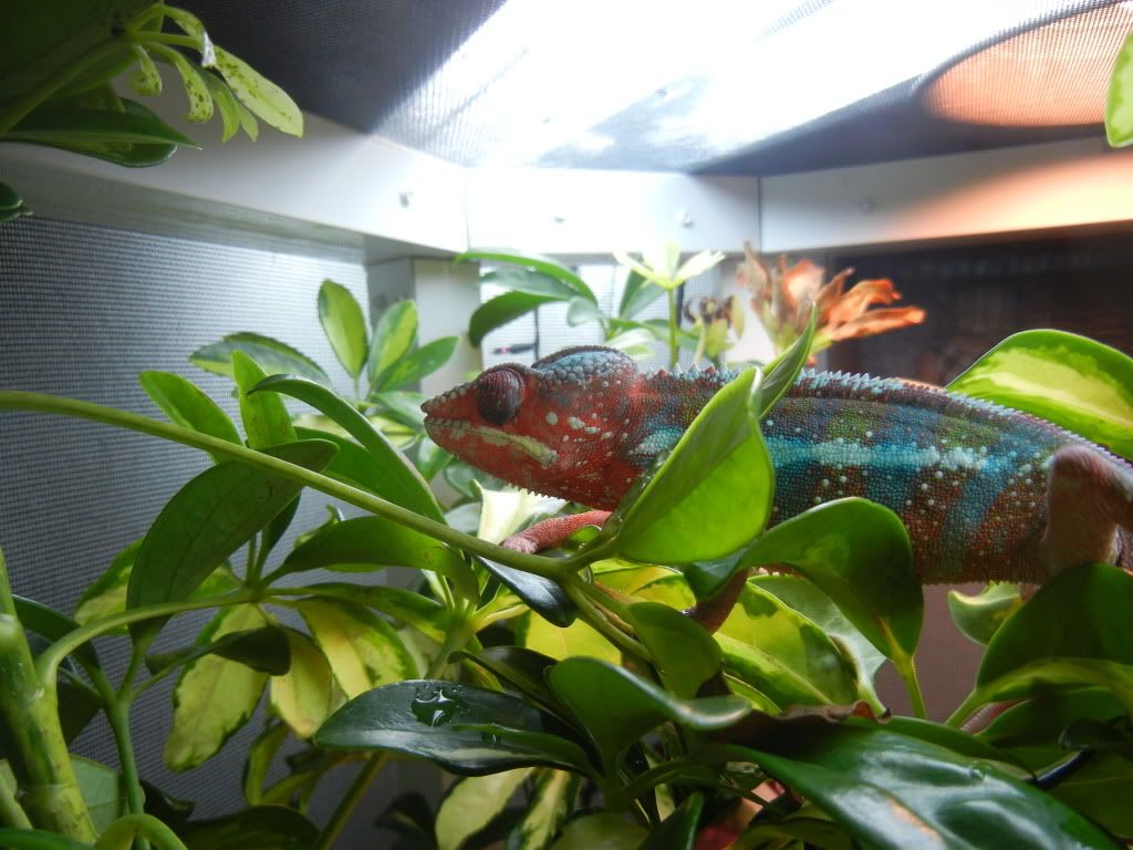 DSCN1543.jpg