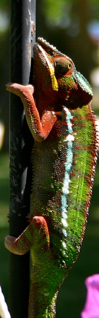 6054283320_da9ddd716e_b.jpg