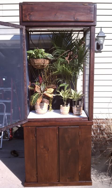 IMAG0325.jpg