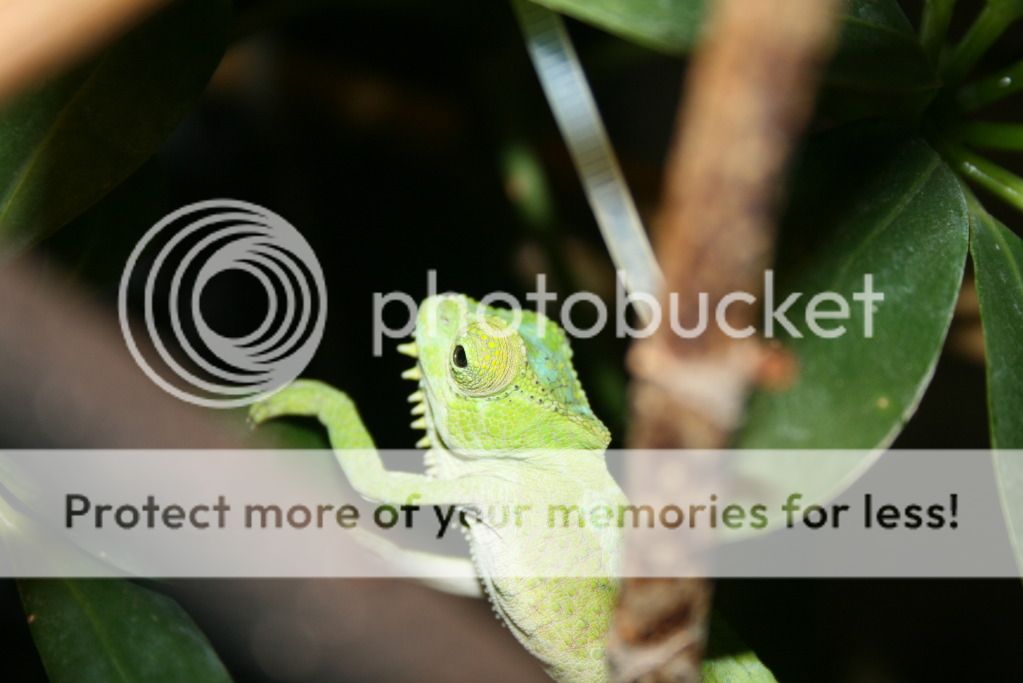 moresundaypics016.jpg