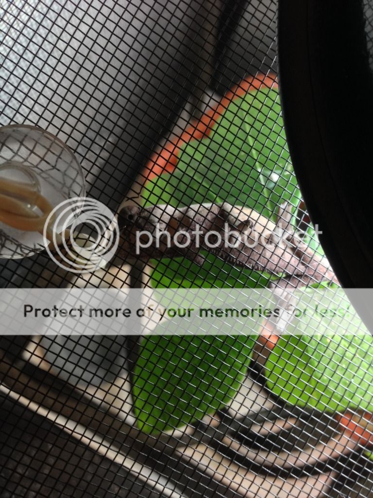 null_zpse8d74509.jpg