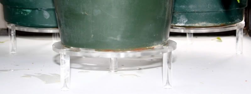 AcrylicPlantStand-2.jpg